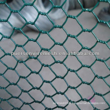 PVC chicken wire mesh/Hexagonal Wire Mesh for Cultivation